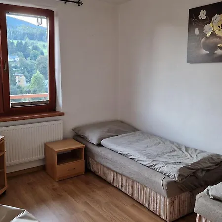 S Výhledem *
