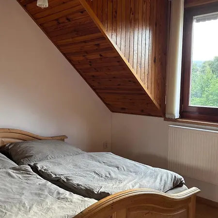 S Výhledem *