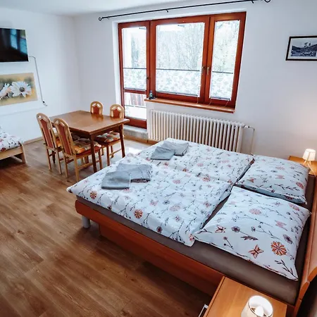 S Vyhledem Apartament