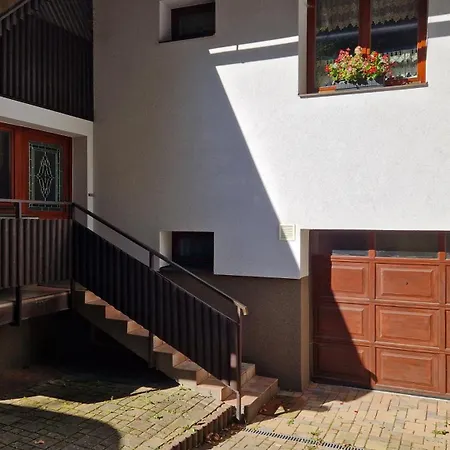 S Vyhledem Apartament