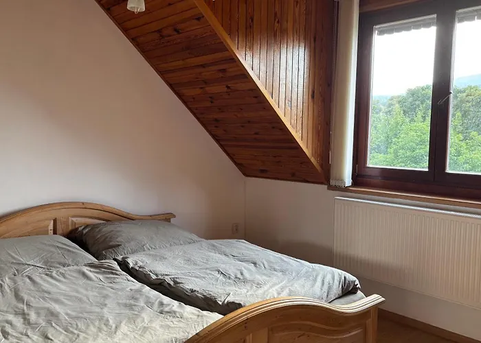 S Výhledem *