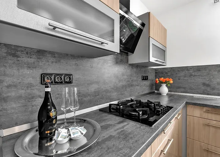 S Vyhledem Appartement *